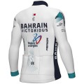 Heren Fietskleding Ale Bahrain Victorious 2024 shirt met lange mouwen