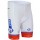 2015 FDJ Korte Fietsbroeken 1733