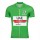 UAE EMIRATES 2020 Tour De France groen Fietskleding Fietsshirt Korte Mouw 2067